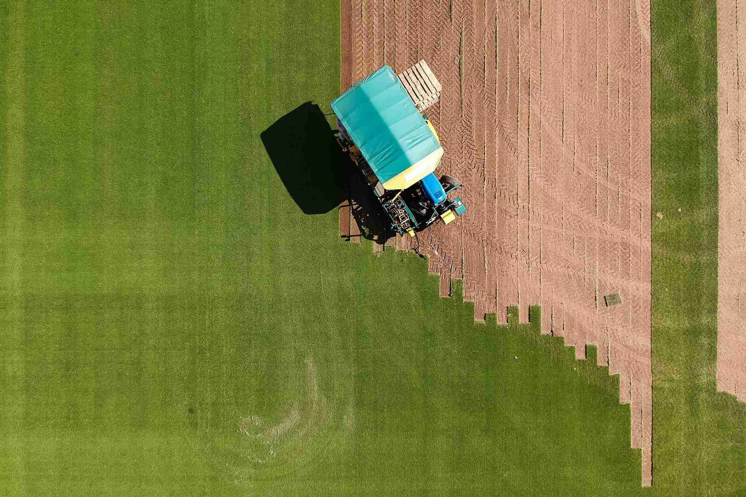 Le gazon alsacien pousse aussi en ligne