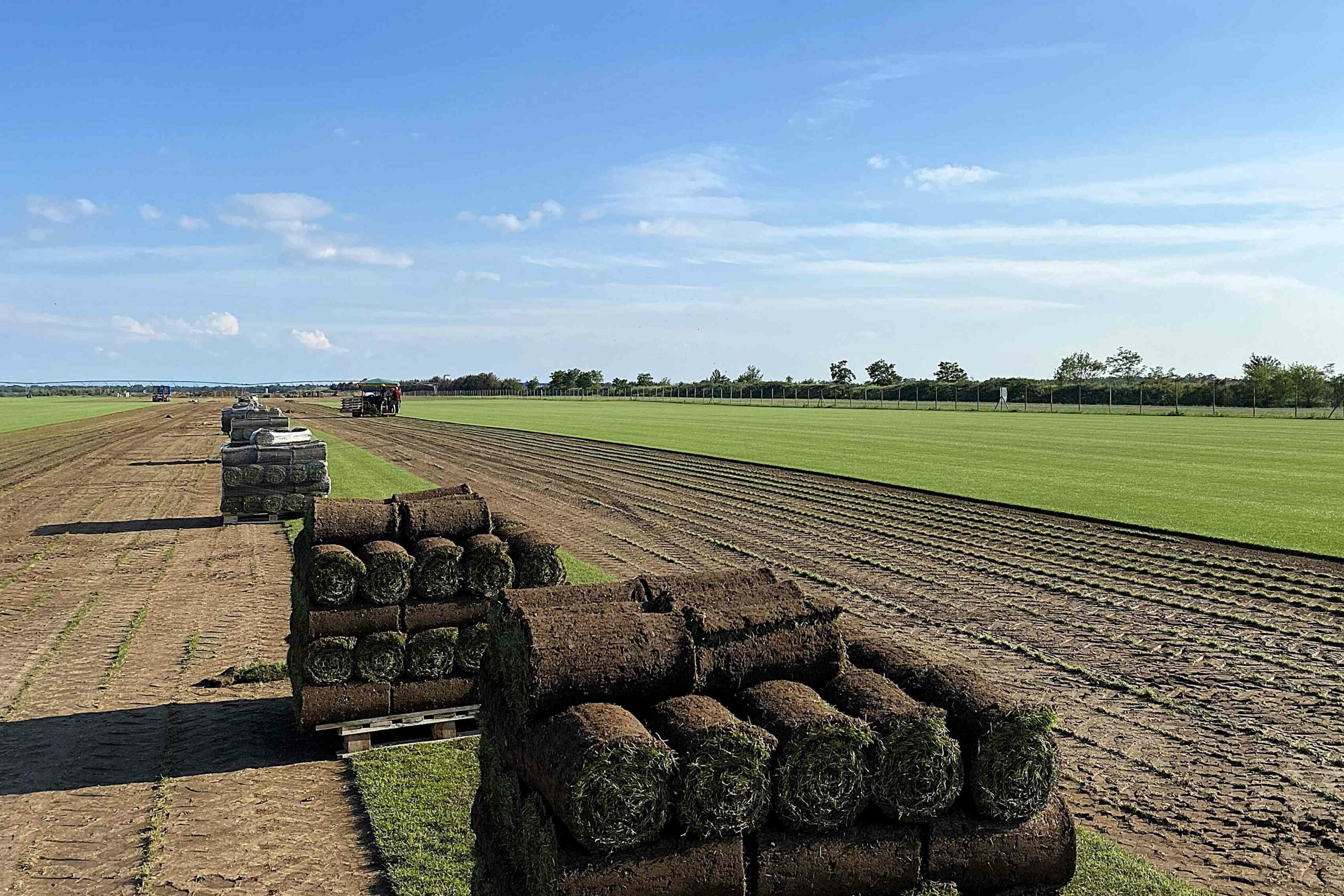 Le gazon alsacien pousse aussi en ligne