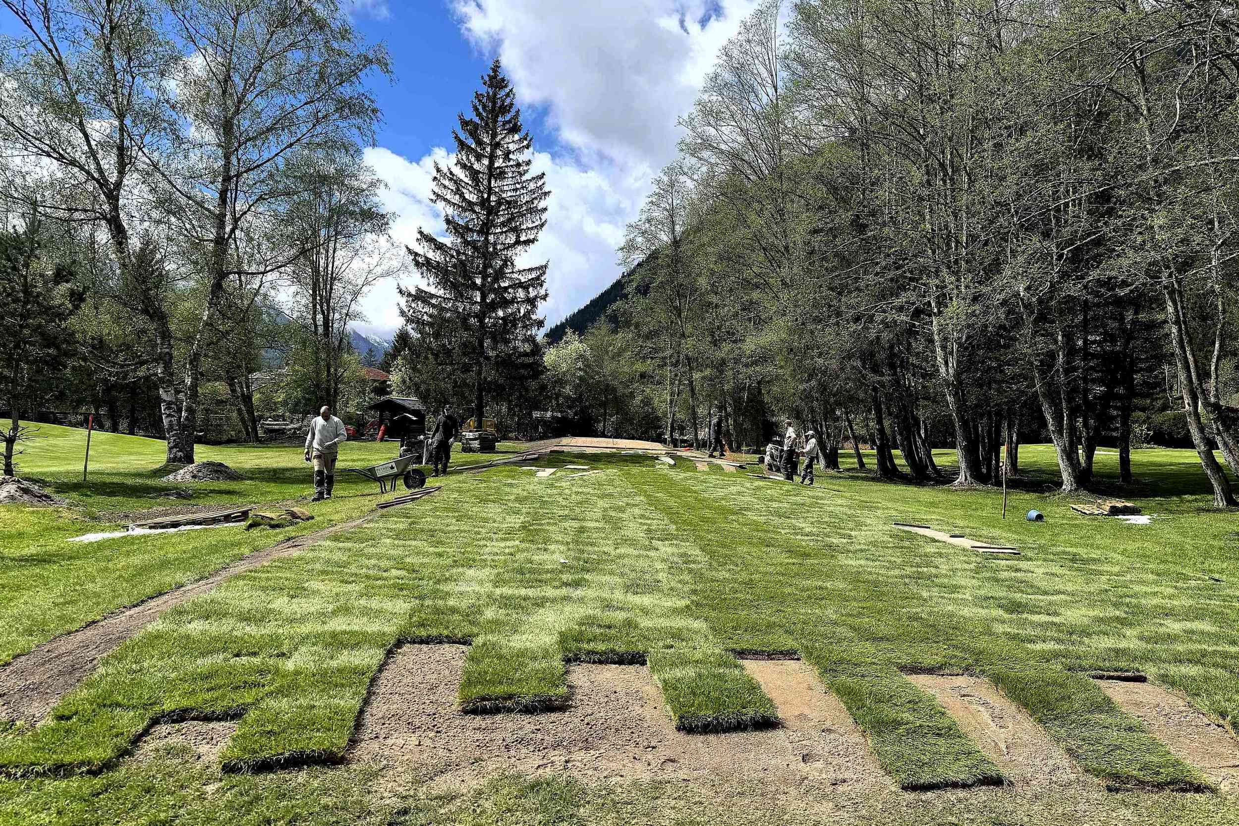 Le gazon alsacien pousse aussi en ligne